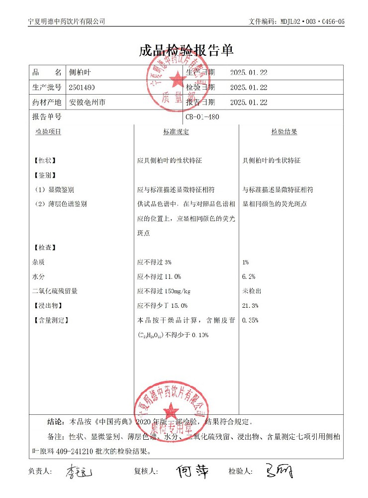 2501480側柏葉.jpg
